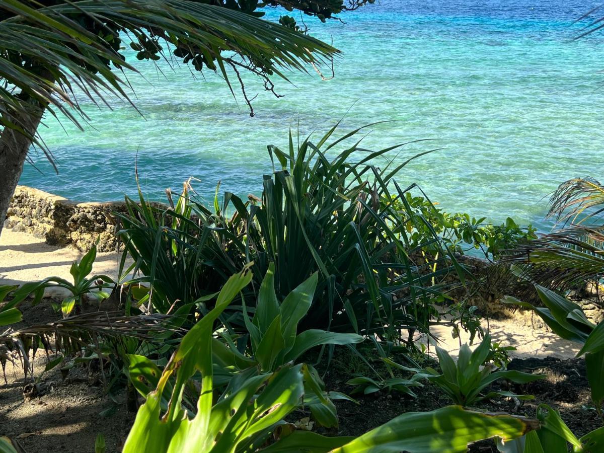 Island View Cottages Luganville Exterior photo